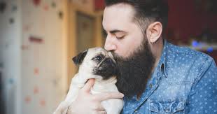 Why dog people are way hotter than cat people