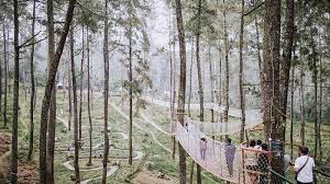 Terminal wisata grafika cikole adalah tempat wisata, restoran serta penginapan di udara yang sejuk dengan suhu 20 derajat celcius dan kontur area terminal wisata grafika cikole yang berbukit dikelilingi hutan pinus di area seluas 9 hektar merupakan tempat wisata di bandung lembang yang. Harga Tiket Masuk Orchid Forest Cikole Untuk Liburan Akhir Pekan Di Bandung Tribun Travel