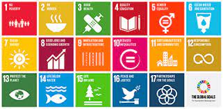 Raises charitable donations for companies/leaders/ideas that are works to improve the health of people in the developing world by focusing on serious challenges like a lack of family planning, hiv and aids. 2030 Agenda For Sustainable Development