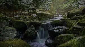 Vídeo hd com cachoeira em câmera lenta, floresta e lago, com sons da natureza e música. Musica Relaxante Musica De Piano Musica Calma Youtube