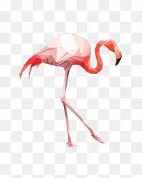 ألوان مائية فلامنجو bird drawings flamingo decor drawings