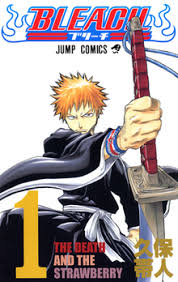 Bleach'S Ending, Explained