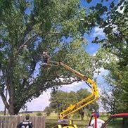 Tree removal, trimming, pruning, and stump grinding. Moore S Tree Service Wichita Ks Alignable