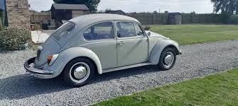 Image result for Chinchilla 1969 Audi