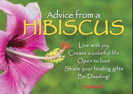 Open To Love Advice From A Hibiscus Your True Nature Advice Quotes Hibiscus Nature Quotes