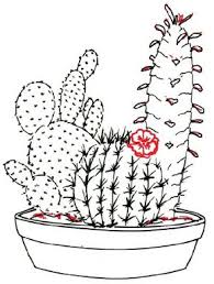 Check spelling or type a new query. How To Draw A Cactus Howstuffworks