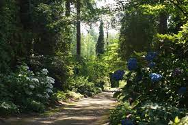 Check spelling or type a new query. The Woodland Garden At Heronswood Finegardening