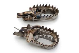 Image result for Titanium 2002 Honda