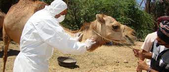 An international journal of veterinary sciences endnote style, according to. International Journal Of Veterinary Science International Journal Of Veterinary Science