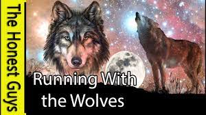 Guided Shamanic Journey To The Akashic Field Connect With Your Spirit Guides Youtube Guided Meditation Meditation Guided Imagery