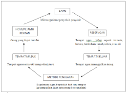 Vaksinasi hepatitis a adalah cara yang aman dan efektif untuk mencegah infeksi. Http Repository Umy Ac Id Bitstream Handle 123456789 12344 6 20bab 20ii Pdf Sequence 6 Isallowed Y