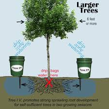 Tree tree care garden permaculture gardening watering watering trees tree irrigation lawn and garden fruit trees. 23 Best Tree Irrigation Ideas Tree Irrigation Irrigation Watering