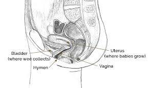 Hymen broke after 3 yrs of marriag! Just The Facts About How Your Vagina Works And How To Keep It Healthy