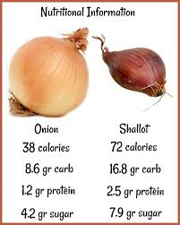 Shallots Vs Onions What Is The Difference And How To Use Them