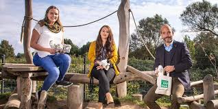 Return match sun, 08.08.21 03:00 pm psd bank arena leader south division: Psd Bank Und Mopo Tolle Aktion Kuschel Schweinswale Fur Hamburger Kinder Mopo