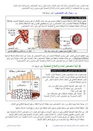 آليات امتصاص الماء والأملاح المعدنية عند النباتات اليخضورية الدرس Alloschool