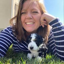 Northridge Goldendoodles and Bernedoodles