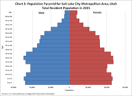 Americas Age Profile Told Through Population Pyramids