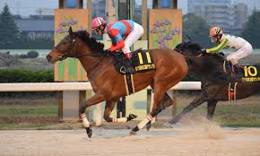 サージス様 この度はご購入、高評価をいただきありがとうございます。 営業全員とお写真ありがとうございました＾＾ とっても素敵な納車写真になりましたね♪ これからも. åå¤å±ã°ã©ã³ããª Wikipedia