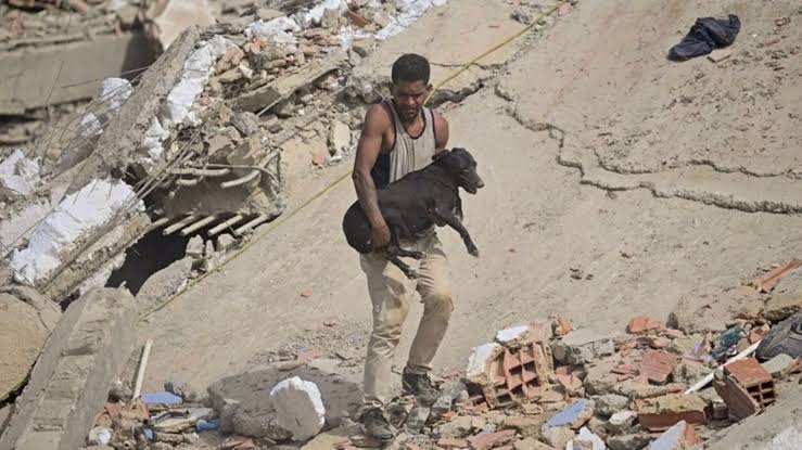 ▷ Fondo de emergencia destina más de 6.000 euros a animales afectados por  terremotos en Venezuela #29Jul - El Impulso