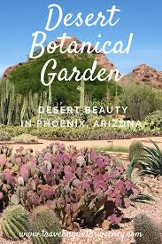We visited the desert botanical garden in scottsdale, az and loved seeing the purple prickly pears, the blooming flowers, and the interesting sculptures. Wonders Of Nature At The Desert Botanical Garden Traveling With Sweeney