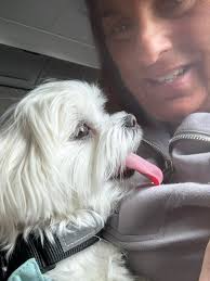 🌊 Let's welcome our new members! 👋 Purchase official group merchandise at  epcbfl.com . Don't forget to 👍 "like" & "follow" the Everything Panama  City Beach, FL Facebook page and join Vacation