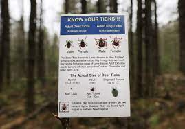 Doctors Advise Against Long Term Antibiotic Treatment For Lyme Disease Pittsburgh Post Gazette