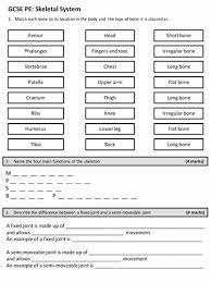 Skeletal System Worksheet Pdf Best Of Gcse Pe Skeletal System Worksheet By Ali Pali21 Teaching Skeletal System Worksheet Gcse Pe Teaching Resources Secondary