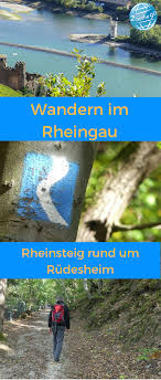 Rudesheim Wandern Auf Dem Rheinsteig Rheingau Wandern Wandern Deutschland