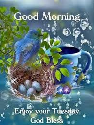 We did not find results for: Collection 180 Tuesday Blessings Images Photos Quotes Gif Pics Quoteslists Com Number One Source For Inspirational Quotes Illustrated Famous Quotes And Most Trending Sayings
