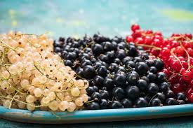 In diesem artikel zeigen wir dir, wie, wann und somit du deine johannisbeeren am besten düngen solltest. Johannisbeeren Alles Vom Pflanzen Bis Zur Ernte Plantura