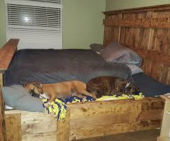 They're built like miniature sofas with bone pillows, chaise lounges, dresser drawers, and canopy beds. King Bed With Doggy Insert