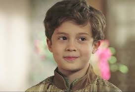 Abdullah Baki (bakikuyucu)