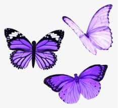 #wallpaper #butterflies #butterfly wallpaper #dark aesthetic #green aesthetic #dark green just pinned to butterfly wallpaper: Pink Aesthetic Butterfly Png Transparent Png Kindpng
