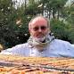 Somerton Beekeepers Winter Talk with Ged Marshall event image