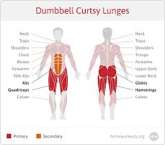 I always found a diagram of the human body to be very useful when it came to training. What Muscles Do Dumbbell Curtsy Lunges Work Home Workouts