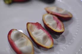 Image result for Cola lateritia