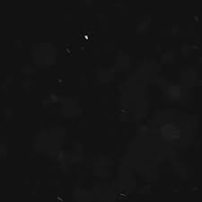 Image result for tbn:AVG8hmDwzPkQ3M::img222.imageshack.us/img222/7555/89765389sh1.gif