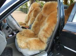 Image result for "fur car"