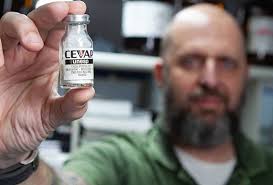 Pesquisador Daniel Pimenta, do Laboratório de Bioquímica do Butantan,  detentor da patente do soro contra veneno de abelha