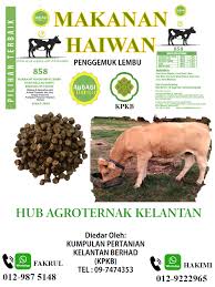 Dewan undangan negeri kelantan v nordin bin salleh 1992 1 mlj 697. Ekspo Hijau Dan Hari Alam Sekitar Negeri Kelantan Home Facebook