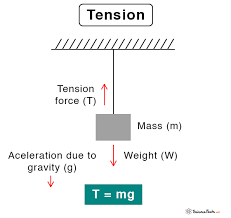 The condition of being held in a state between two or more forces. Tension Tension Force Definition Formula And Examples