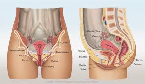 Image result for Vulvar Cancer