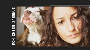 Sep 17, 2020 · il est impossible de faire taire un chien en l'absence de son maitre. Mon Chien S Ennui Quand Il Est Seul Youtube