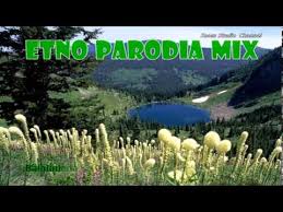 4 sa se foloseasca de umor pentru a transmite un mesaj destept; Parodii Muzicale Etno Razvan Si Nicoleta Zoom Studio Youtube