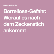 Zeckenstich Entdeckt Diese Schritte Sind Dann Wirklich Notwendig Zecke Stich Zeckenbiss