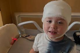 Fundraiser for Erika Golden by Dana Sones : Support the Goldens: Gray's  Brain Surgery & Epilepsy Fight