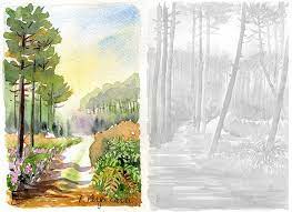 aquarelles les landes artiste peintre francette berger cardi foret des nature morte aquarelle coloriage de raiponce simple
