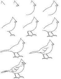 Cardinal Bird Drawings Art Drawings Drawings