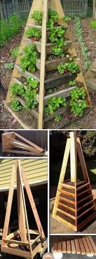 Erdbeeren In Pyramide Aus Holz Pflanzen Garden Planters Diy Small Gardens Vertical Garden